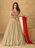 Taupe Designer Embroidered Pure Chinon Silk Party Wear Gown-Saira's Boutique